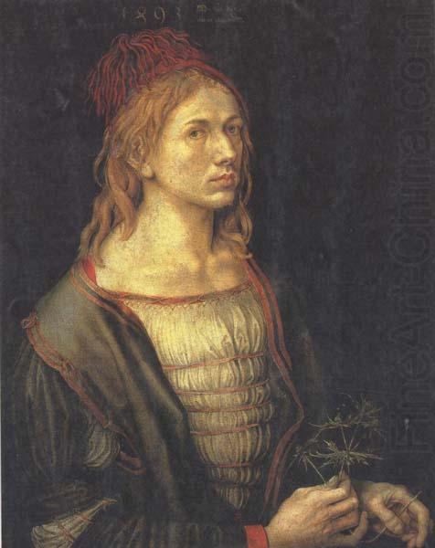 Self-Portrait (mk45), Albrecht Durer